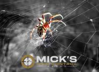 Mick's Spider Control Perth image 7